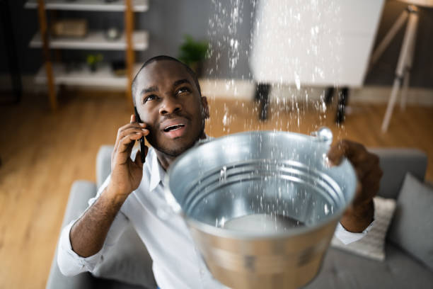 Best Flood restoration services  in Mckinney, TX