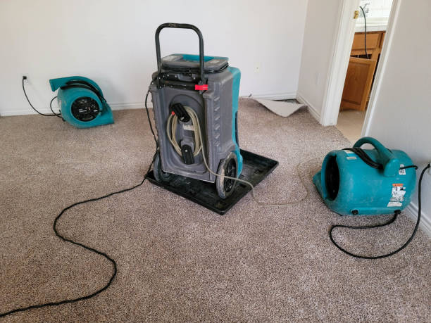 Best Sewage cleanup and water damage restoration  in Mckinney, TX