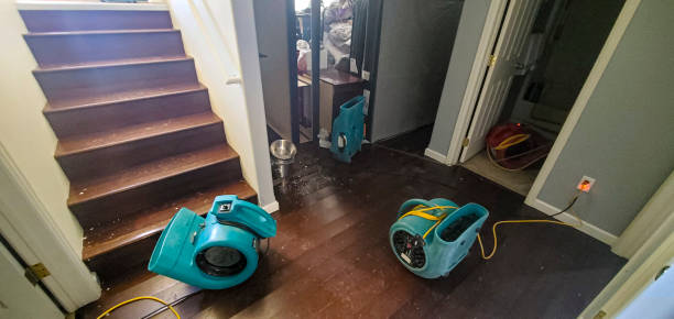 Best Water damage contractors near me  in Mckinney, TX