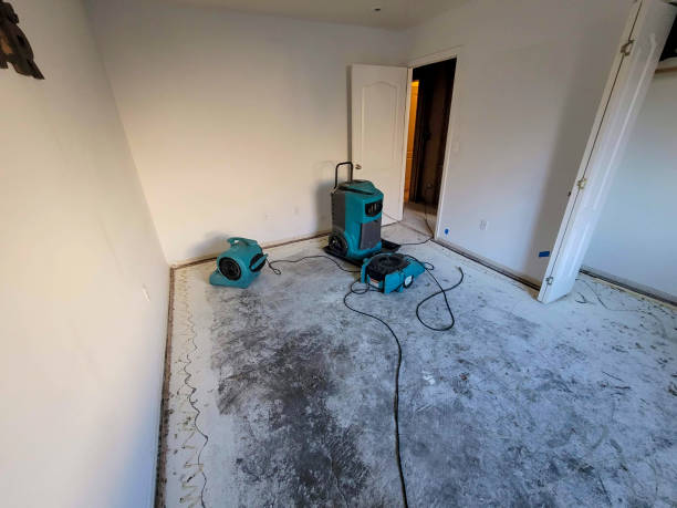 Best Local water damage restoration  in Mckinney, TX