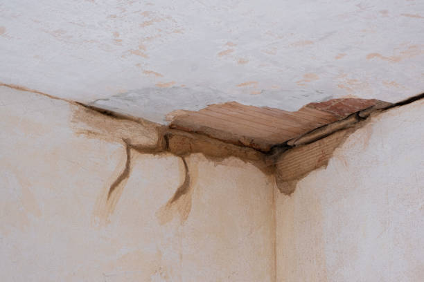 Local water damage restoration in Mckinney, TX