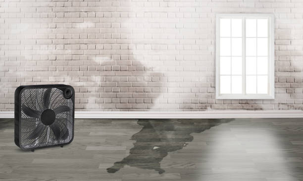 Best Water damage restoration near me  in Mckinney, TX