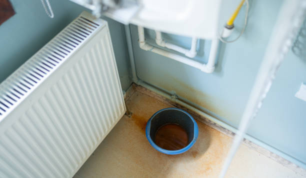 Best Mold removal after water damage  in Mckinney, TX